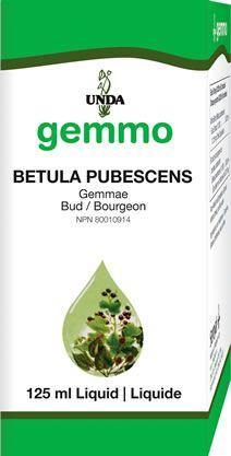 Betula pubescens Bud - Holistic United