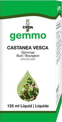 Castanea vesca 125 ml - Holistic United