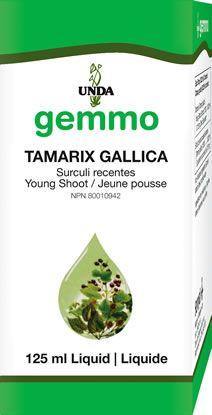 Tamarix gallica 125 ml - Holistic United