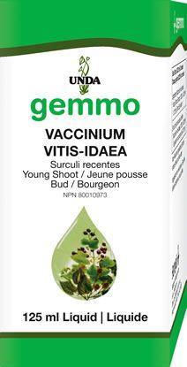 Vaccinium vitis idaea 125 ml - Holistic United