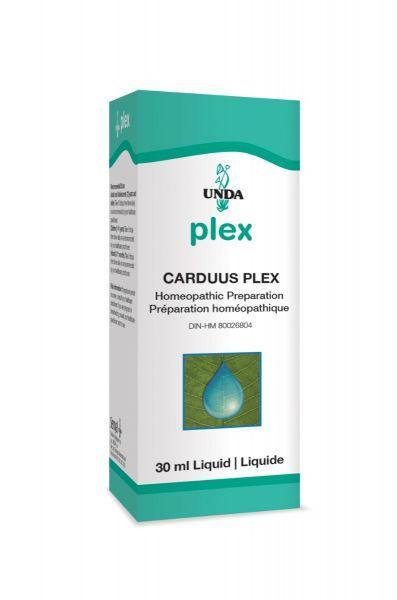 Carduus Plex - Holistic United